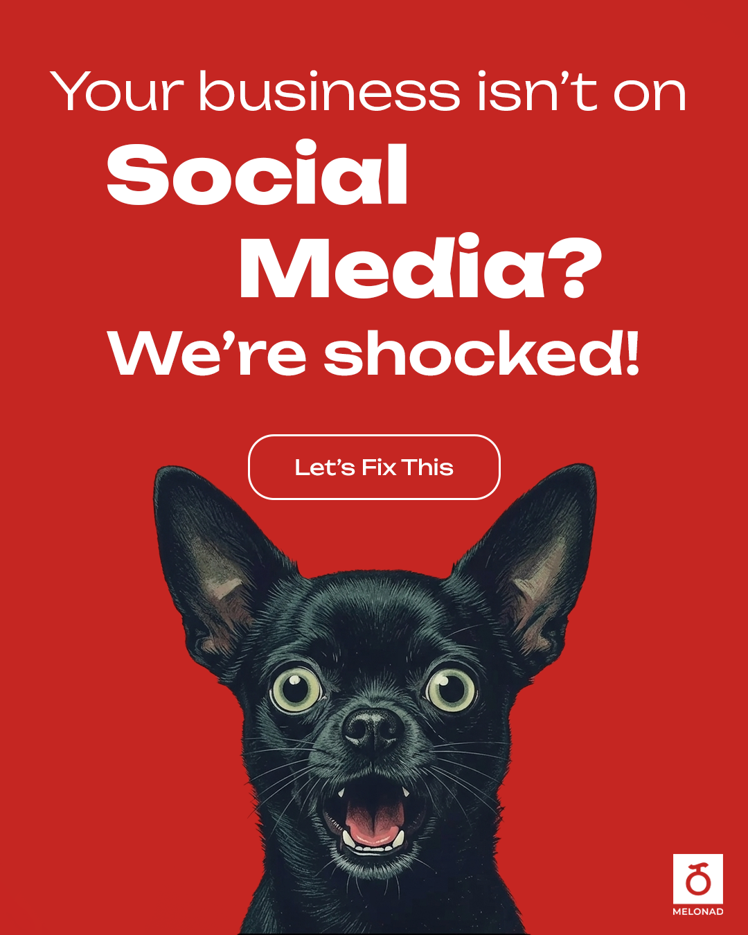 MELONAD Facebook ad: Social Media That Stands Out