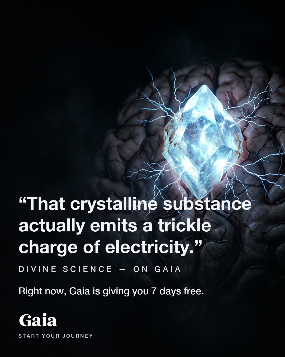 Gaia Facebook ad