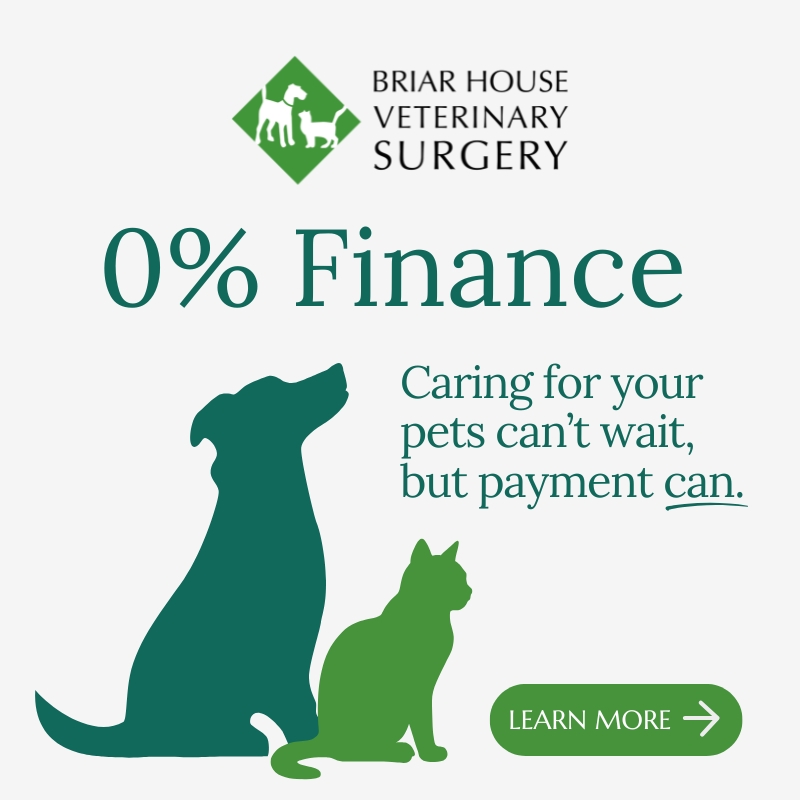 Briar House Veterinary Practice Facebook ad
