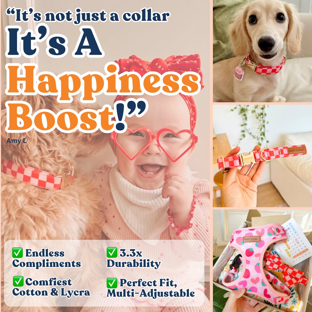 Sniff & Bark Facebook ad