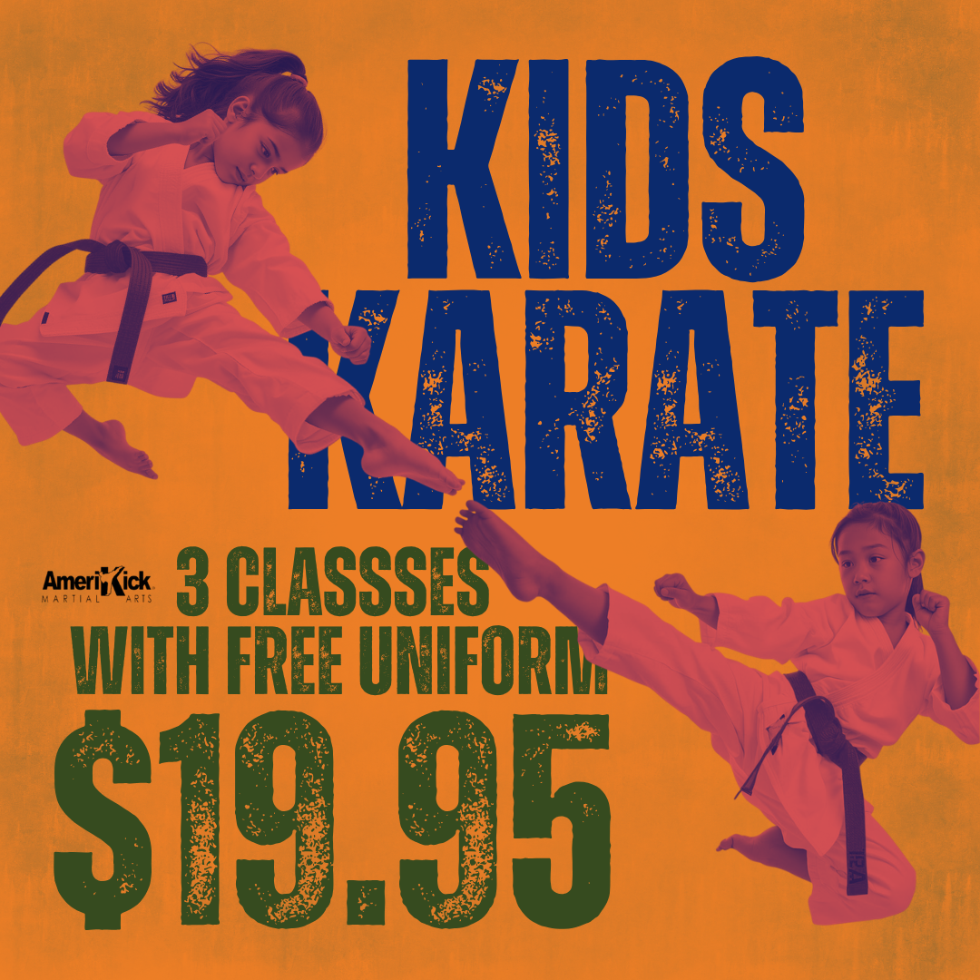 Amerikick Martial Arts Facebook ad