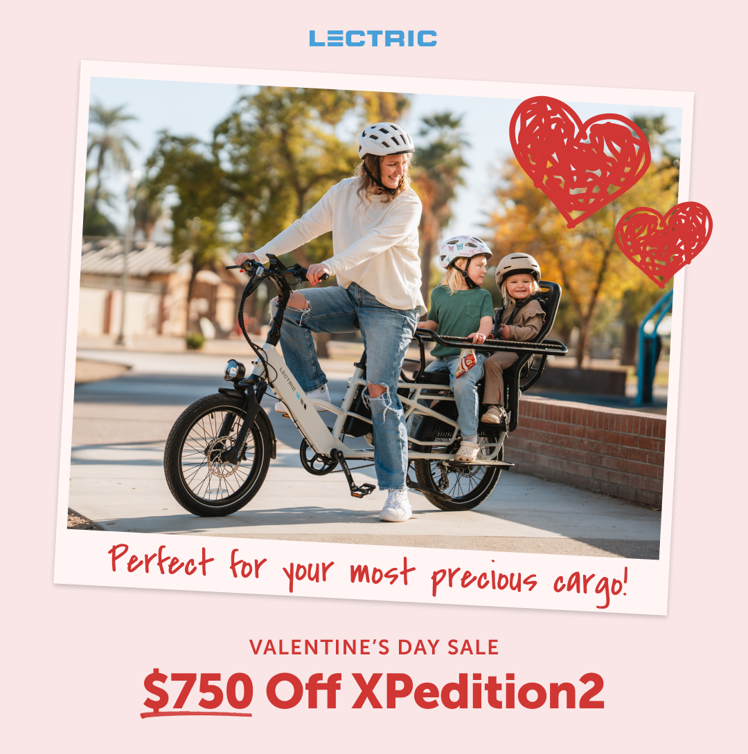 Lectric eBikes Facebook ad