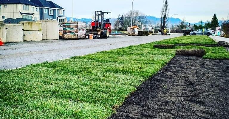 Western Turf Farms Ltd Facebook ad: At Western Turf Farms we have been growing…