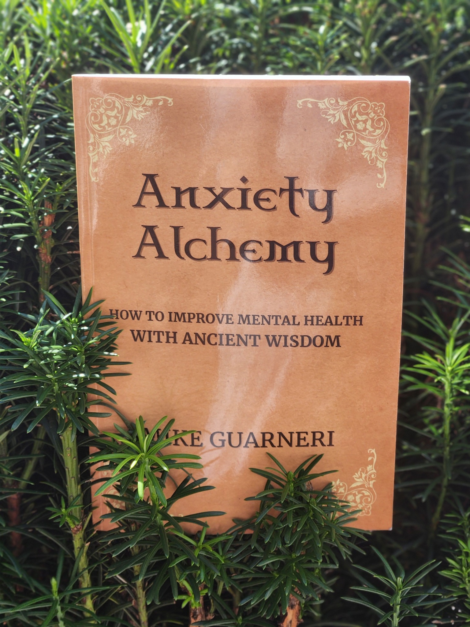 Mike Guarneri Facebook ad: Get the Book!