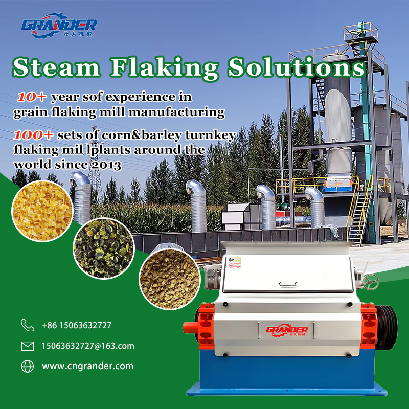 Shandong Grand Agri-Tech Facebook ad: Reliable Flaking Partner for Global Feedmill Expansion