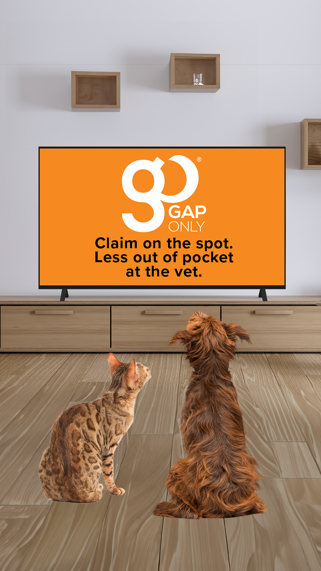 Pet Insurance.com.au Facebook ad from Jun 27, 2025