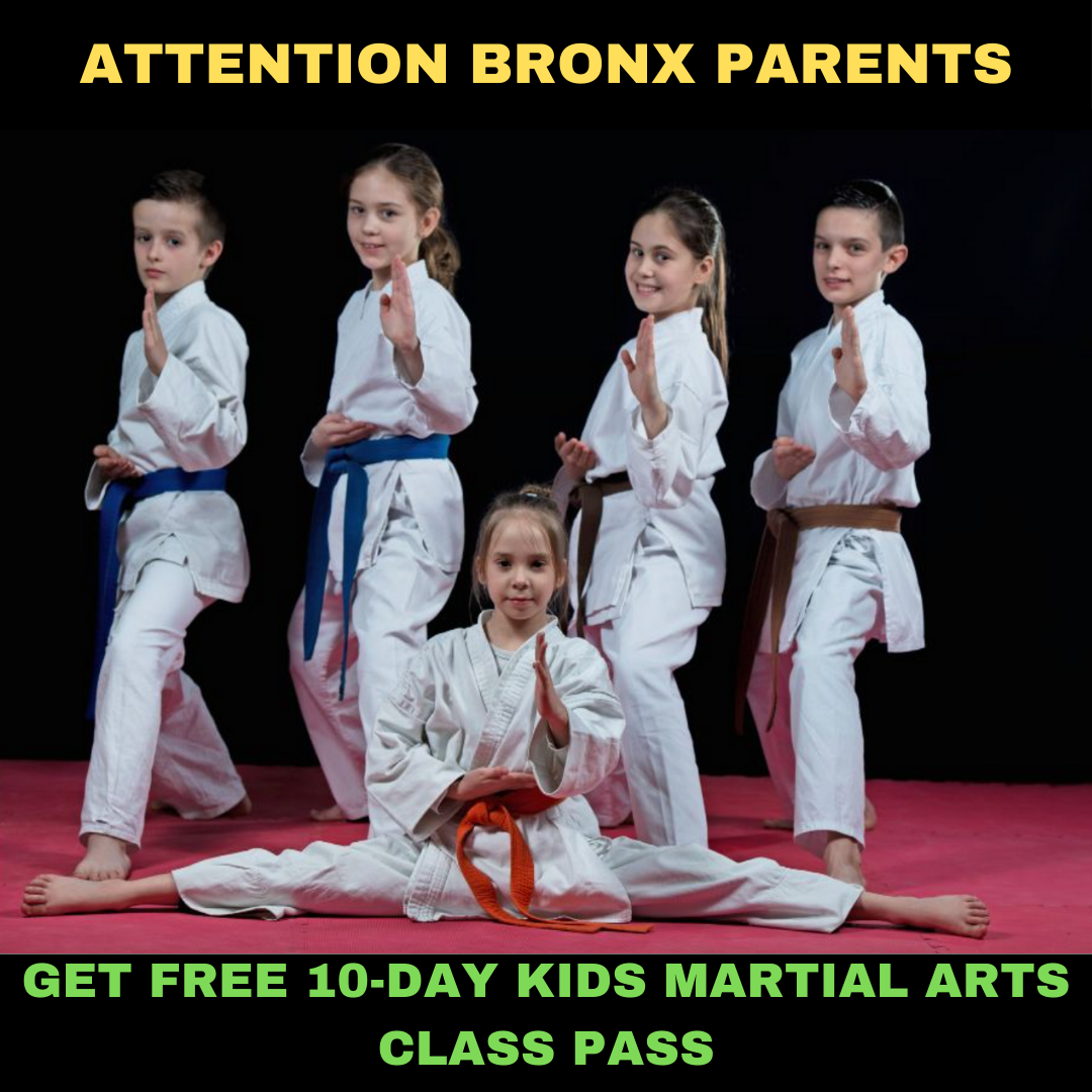 United BlackBelt Martial Arts Facebook ad: Want a FREE 10-Day, Kids Martial Arts Class Pass?