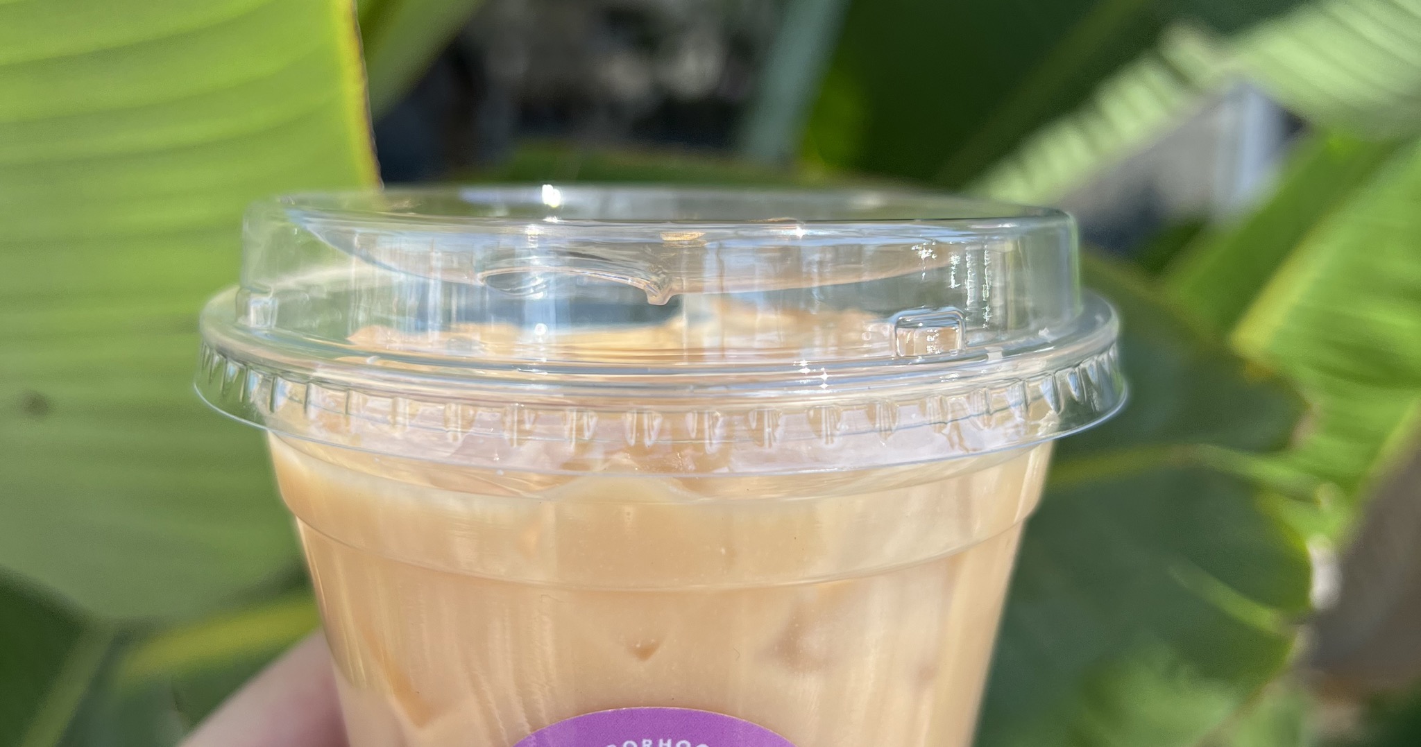 Acai Jungle Cafe Facebook ad: Health Food Restaurant