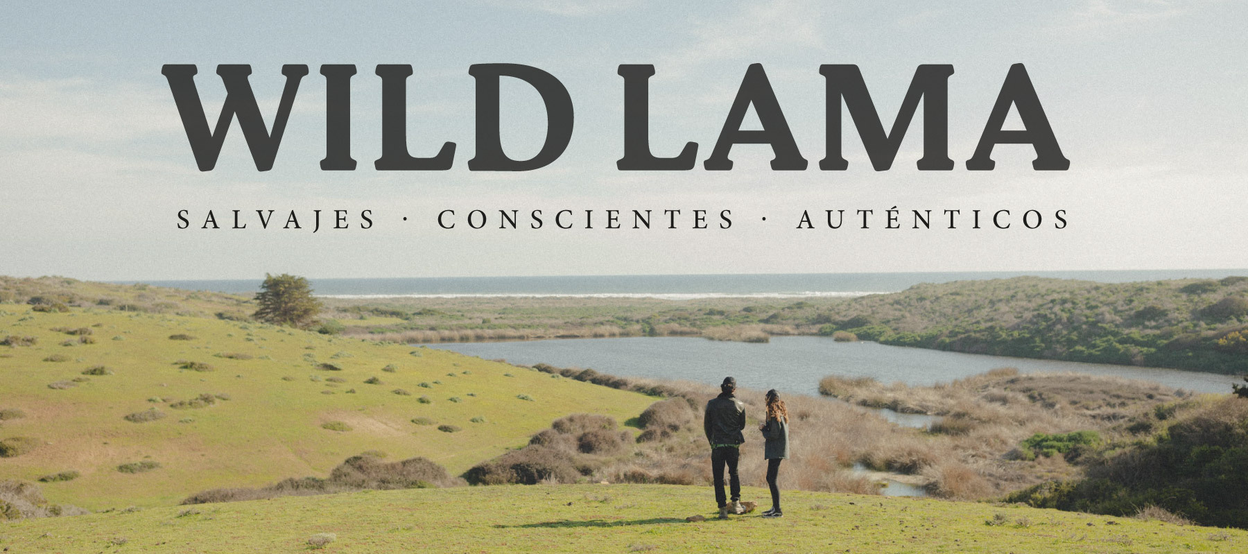Wild Lama Facebook ad from Oct 23, 2025