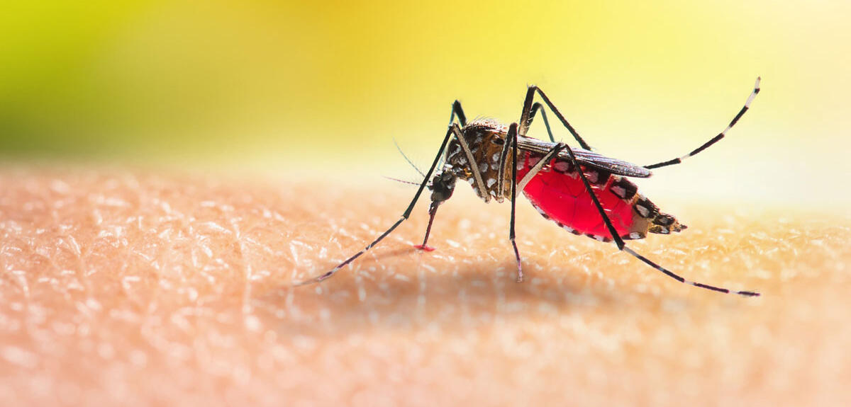 Tactical Pest Solutions Facebook ad