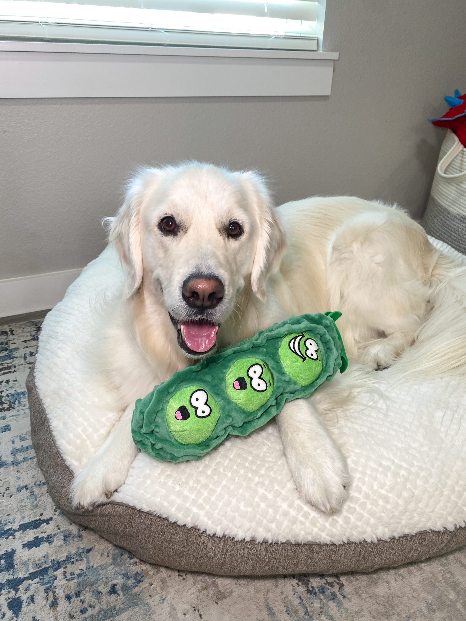 MovingMoving Facebook ad: PLUSH DOG TOYS