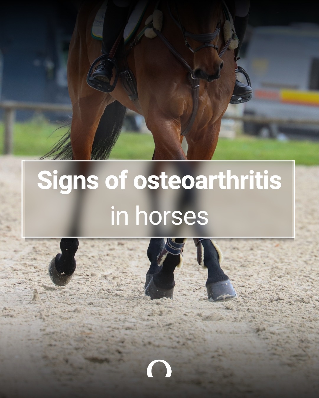 Audevard UK Facebook ad: Osteoarthritis isn't just an issue for older horses.