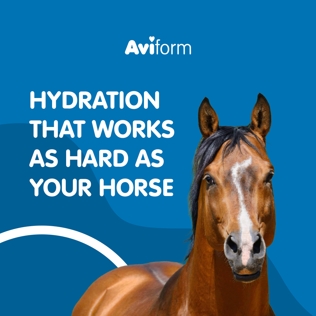 Aviform Nutrition UK - Horse & Dog Facebook ad