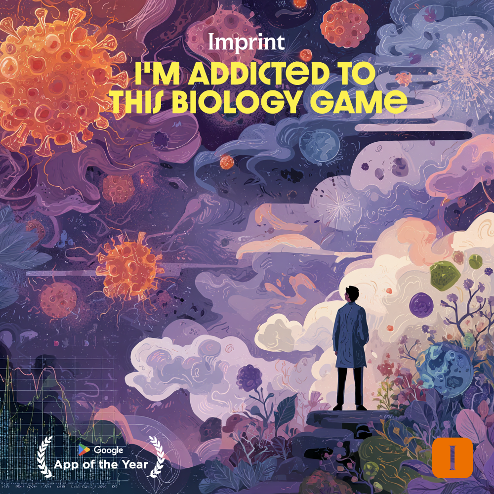Imprint: Learn Visually Facebook ad