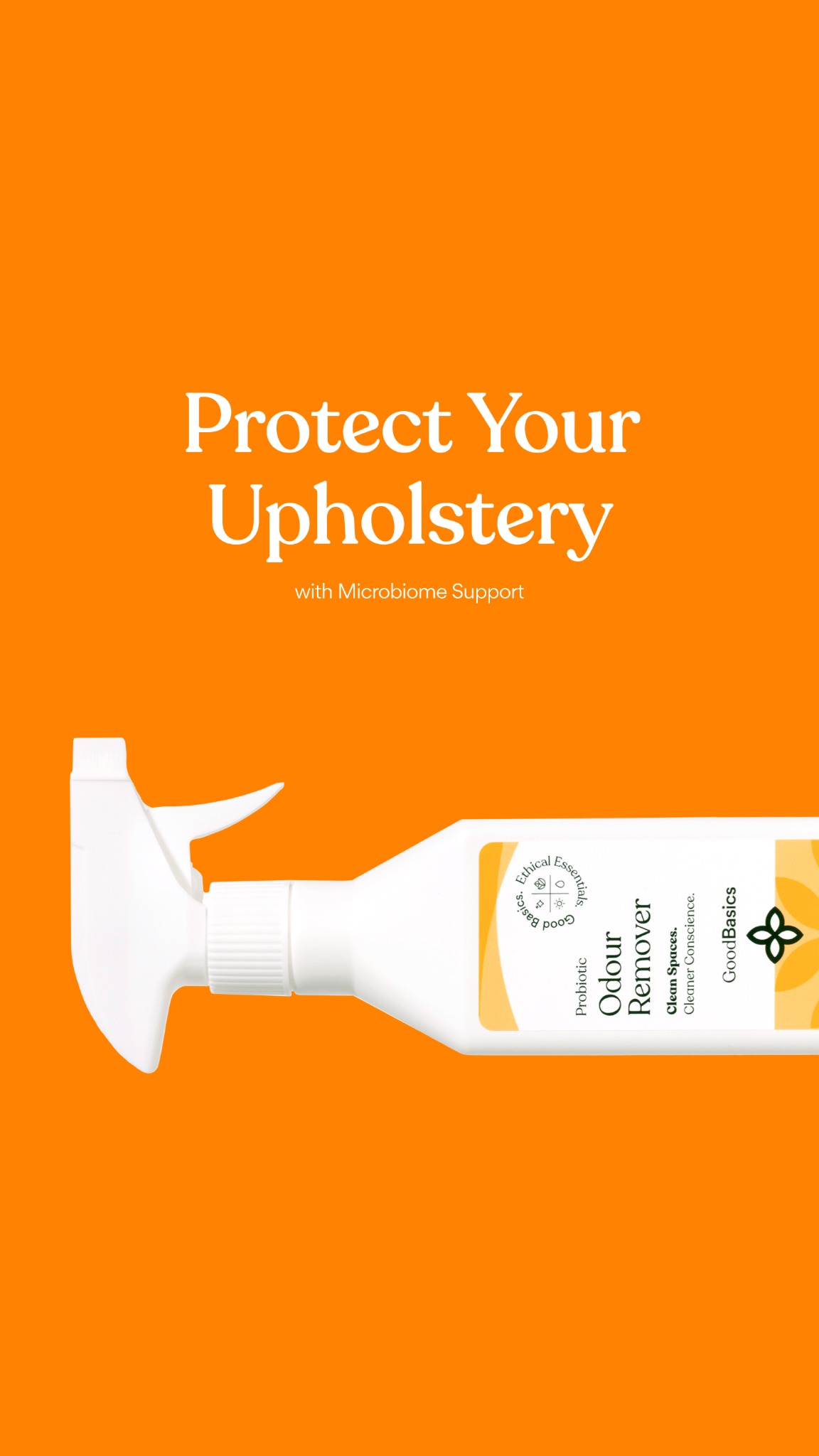 GoodBasics Facebook ad: Odour Remover