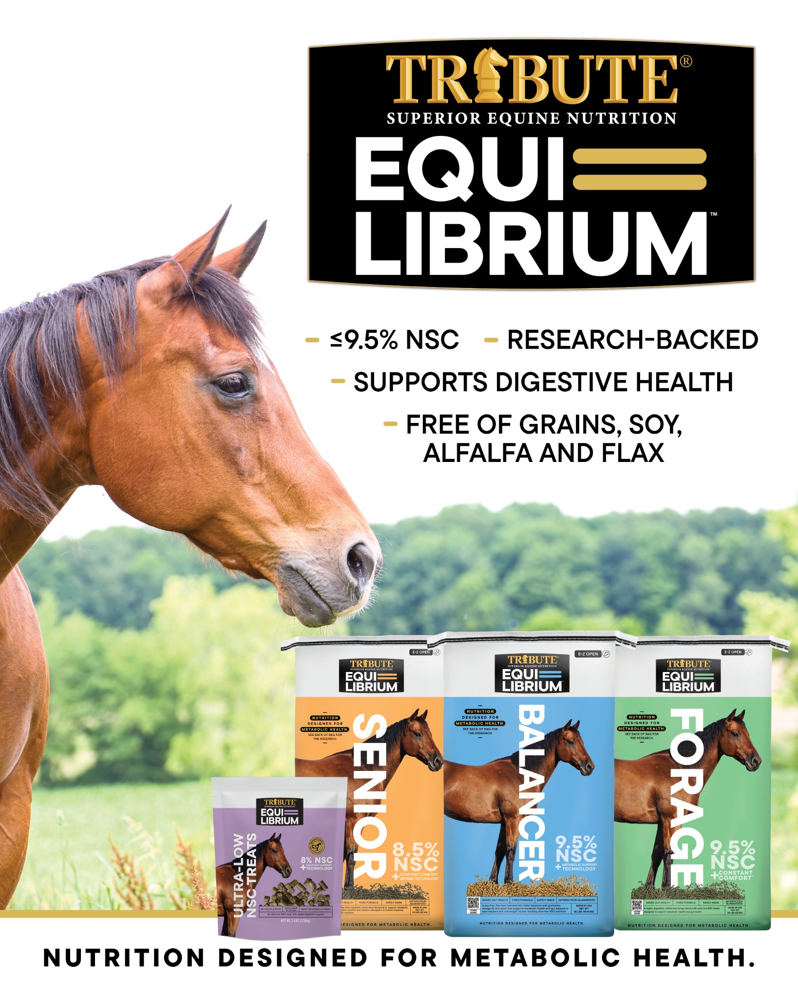 Tribute Equine Nutrition Facebook ad: Meet Equi-Librium