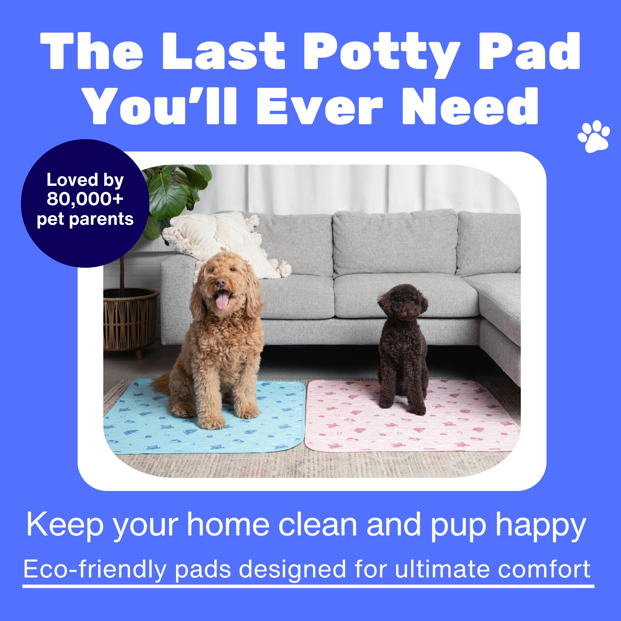 Potty Buddy Facebook ad