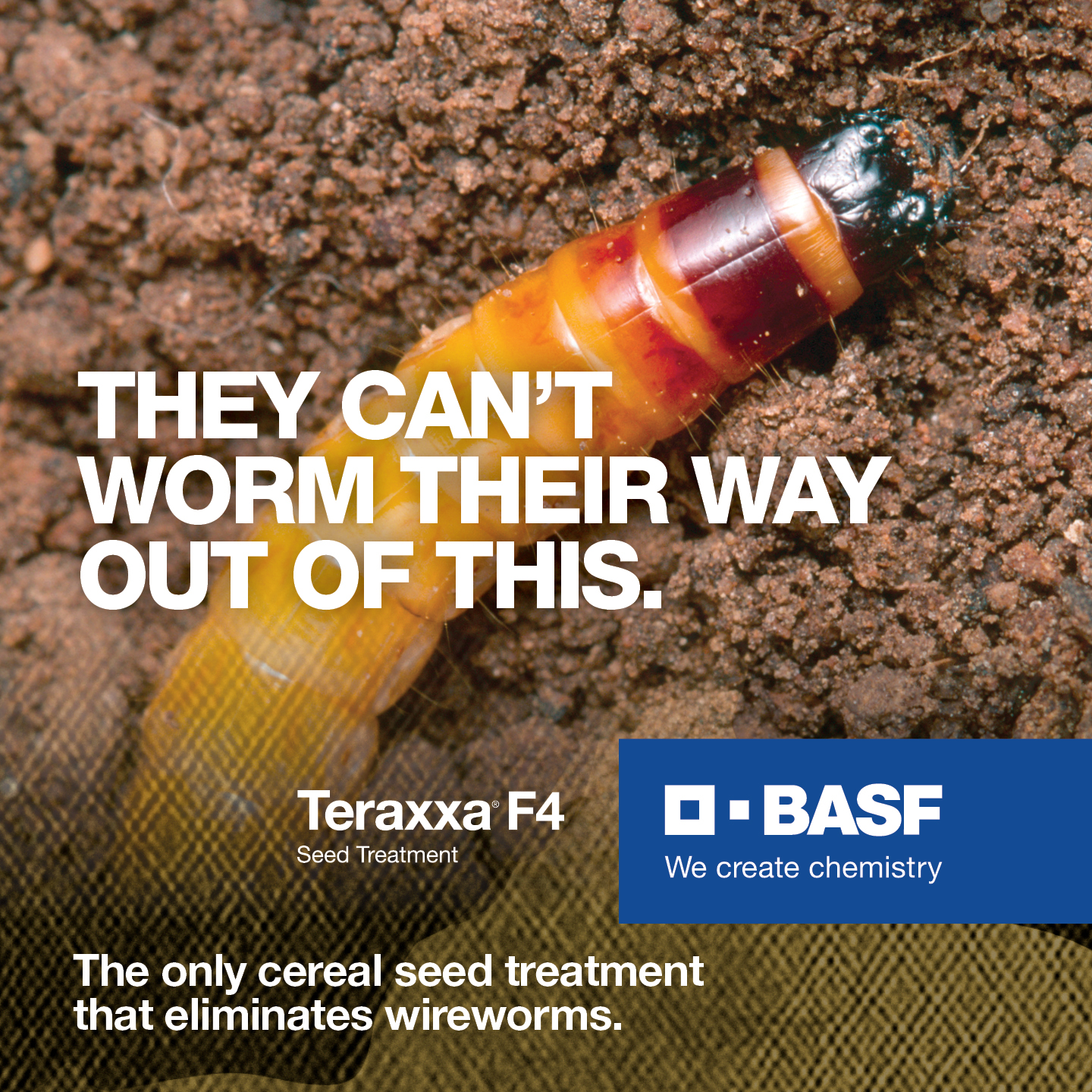BASF Canada Agricultural Solutions Facebook ad