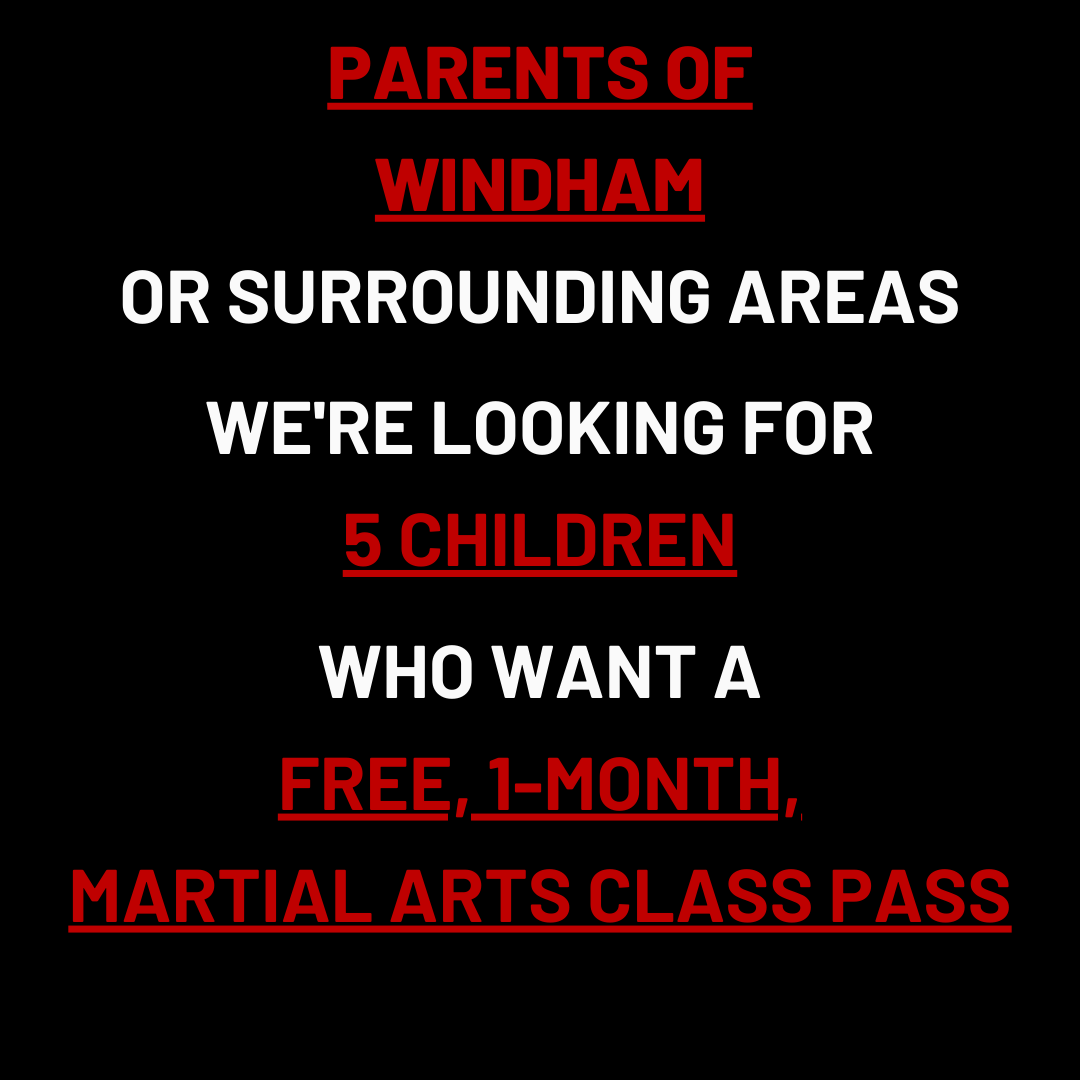 Karate International of Windham Facebook ad: Want a FREE 1-Month, Kids Martial Arts Class Pass?