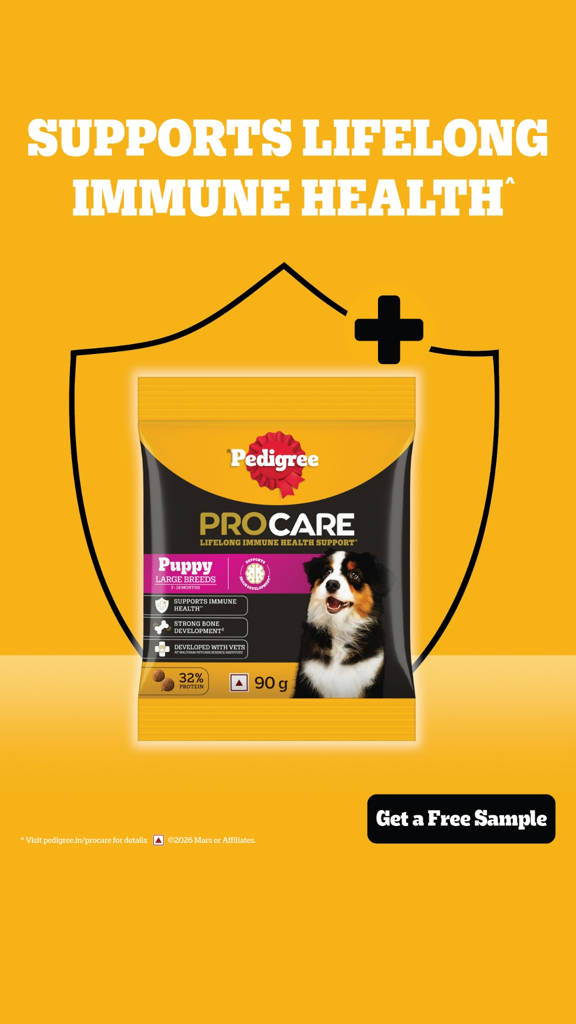 Pedigree India Facebook ad