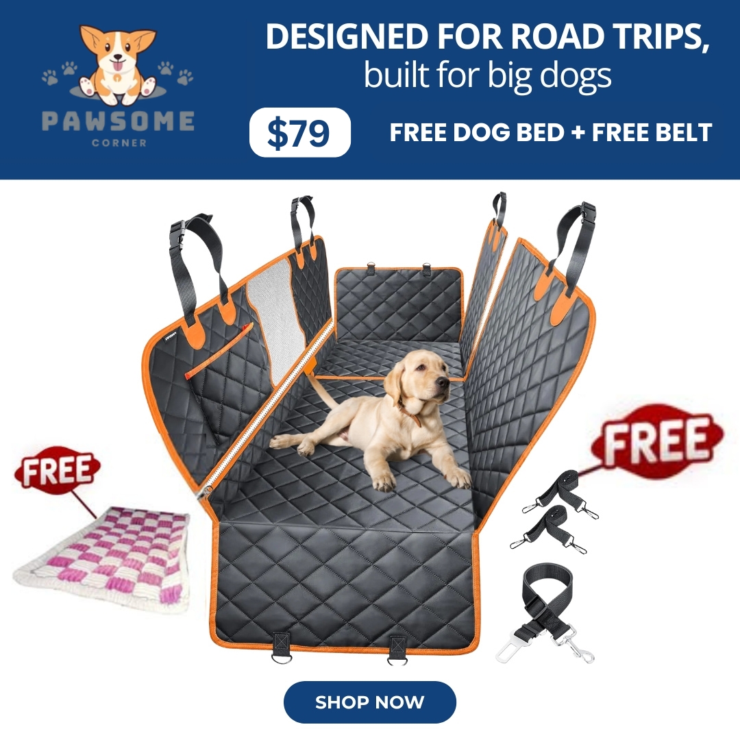 Paw Some Corner Facebook ad: FREE DOG BED +FREE BELT