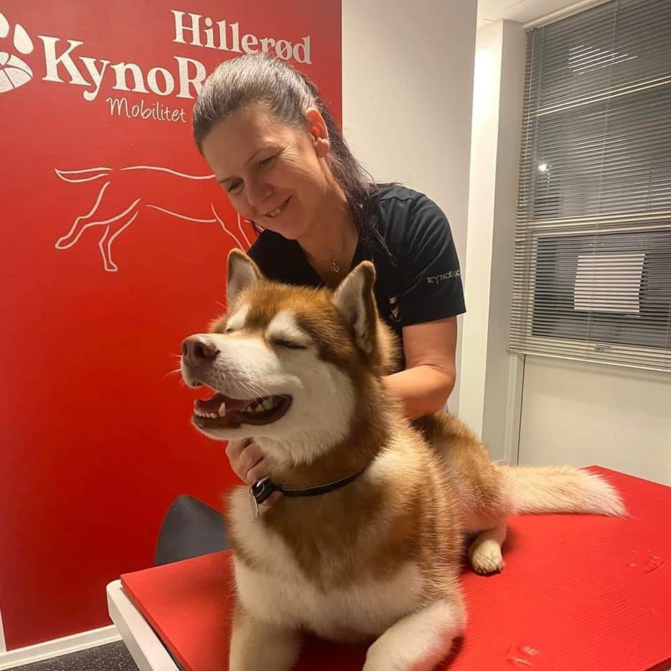 KynoRehab Hillerød v/ KynoOsteo Terapeut Charlotte Storgaard Facebook ad: KynoRehab Hillerød