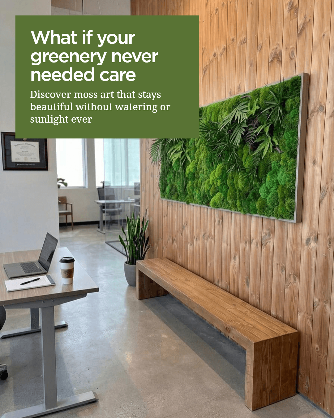 Artisan Moss Facebook ad: Transform your space with nature's beauty