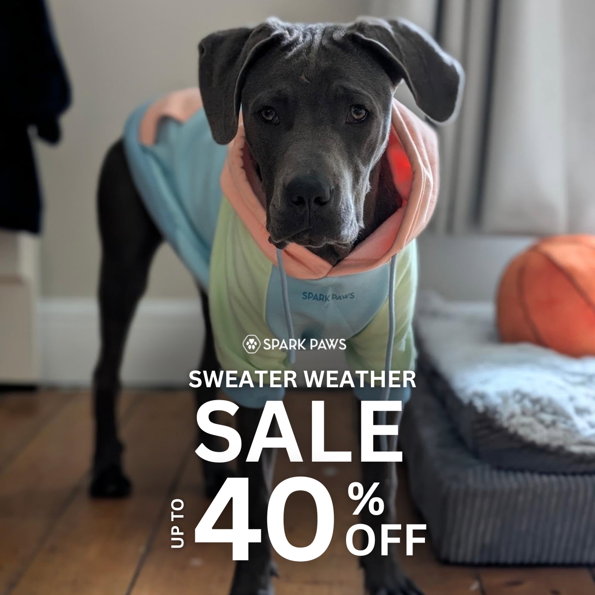 Spark Paws Facebook ad