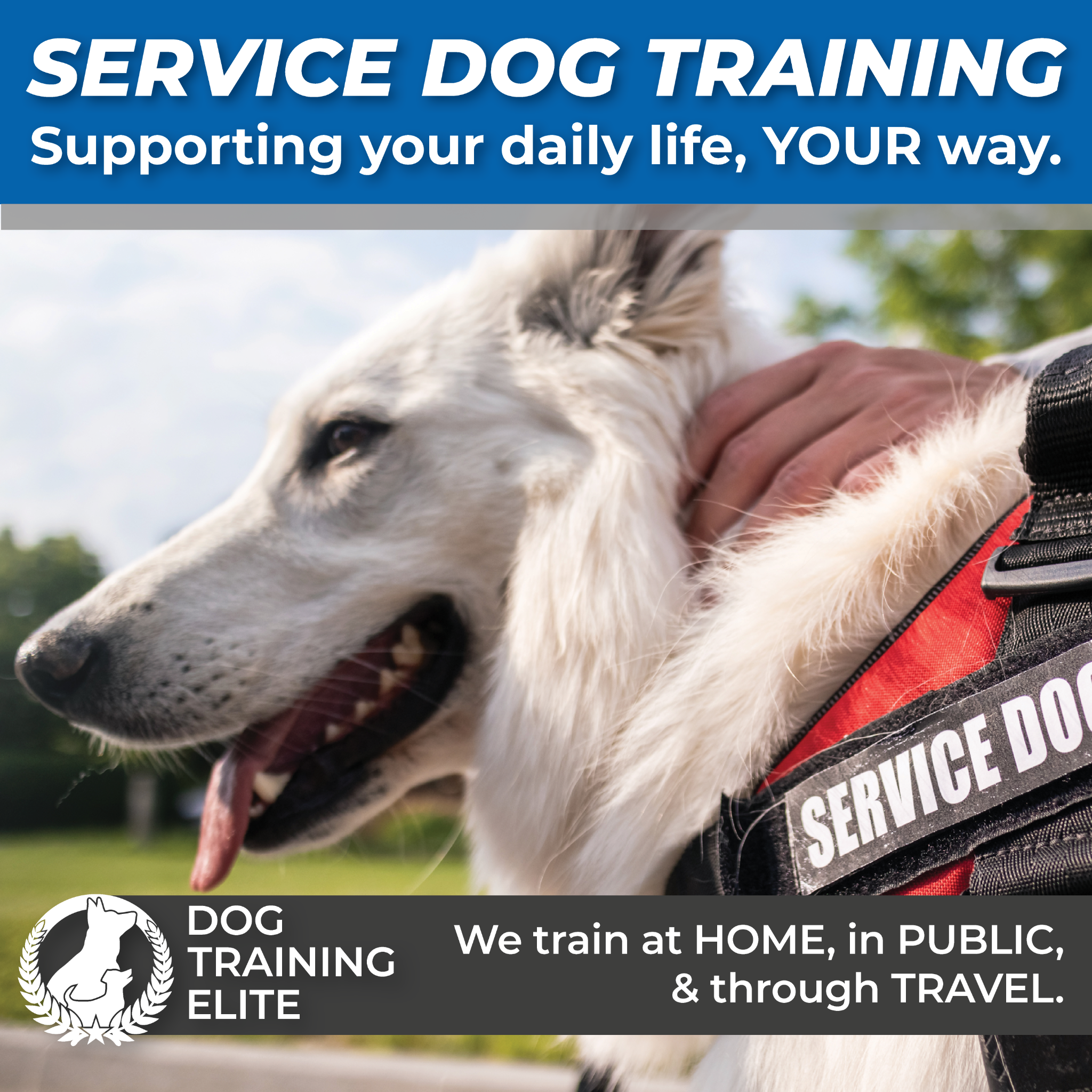 Dog Training Elite San Antonio & New Braunfels Facebook ad from Feb 2, 2026