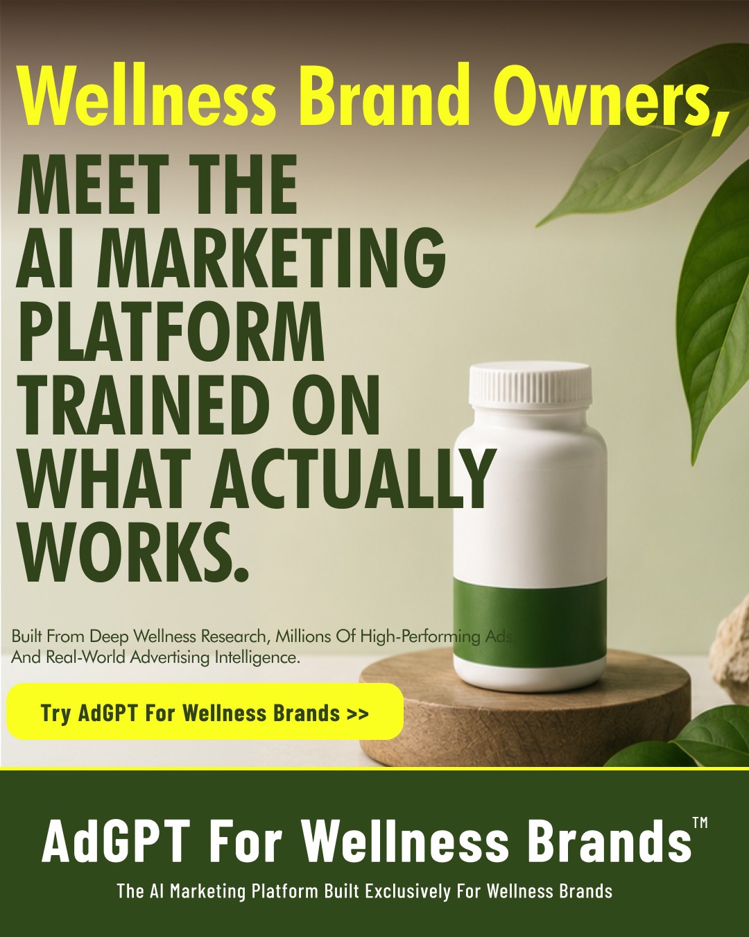 adgpt.com Facebook ad