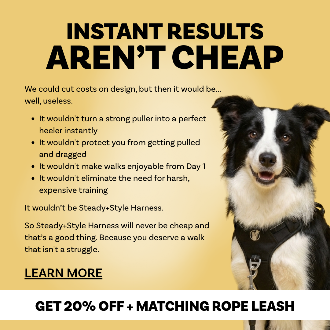 PawSafe Facebook ad
