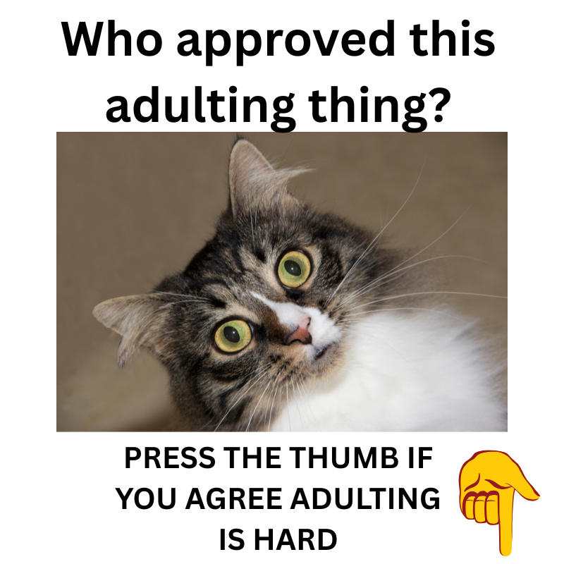 Adulting Is Hard Facebook ad: Adulting is HARD!
