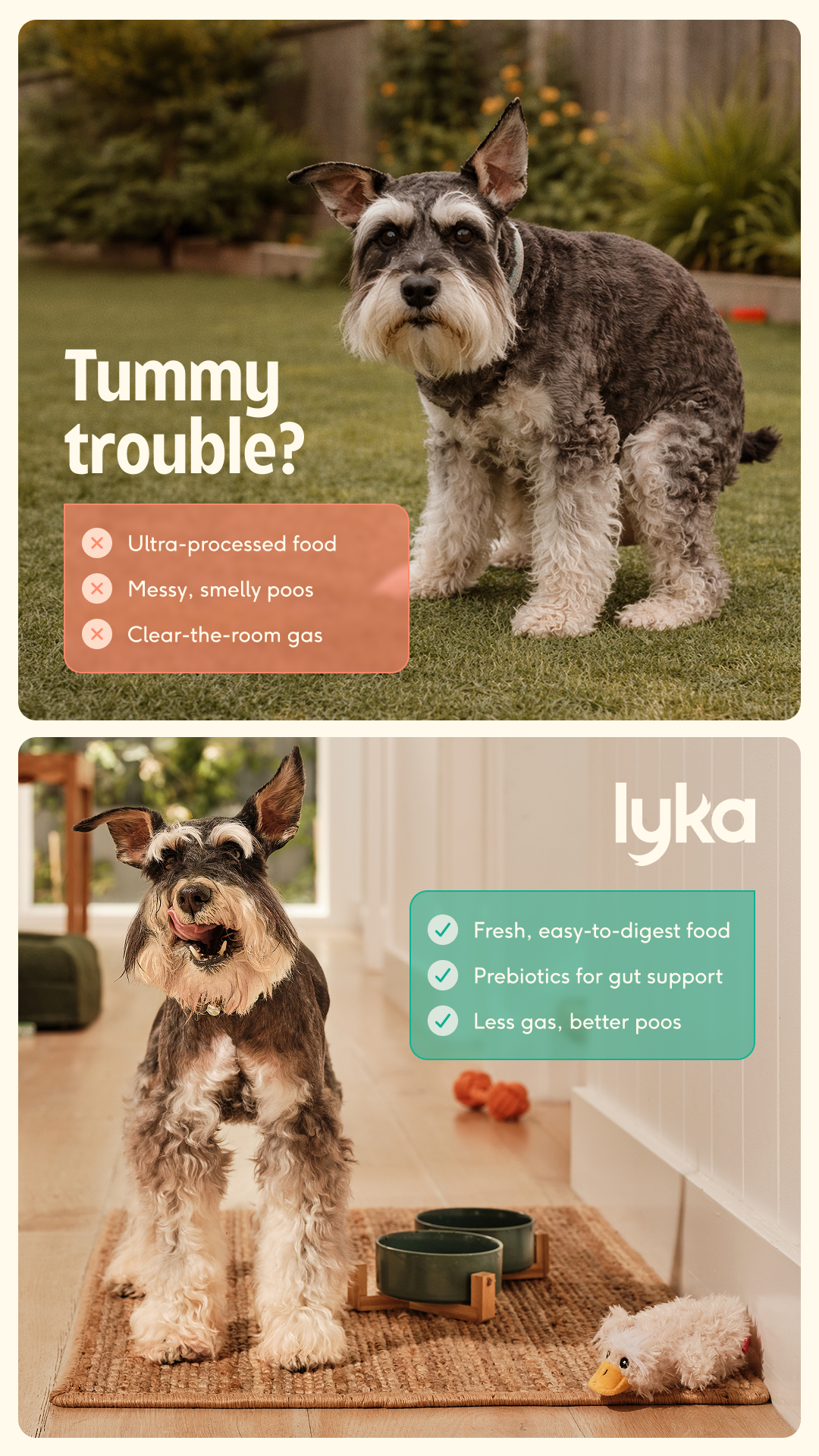 Lyka Pet Food Facebook ad