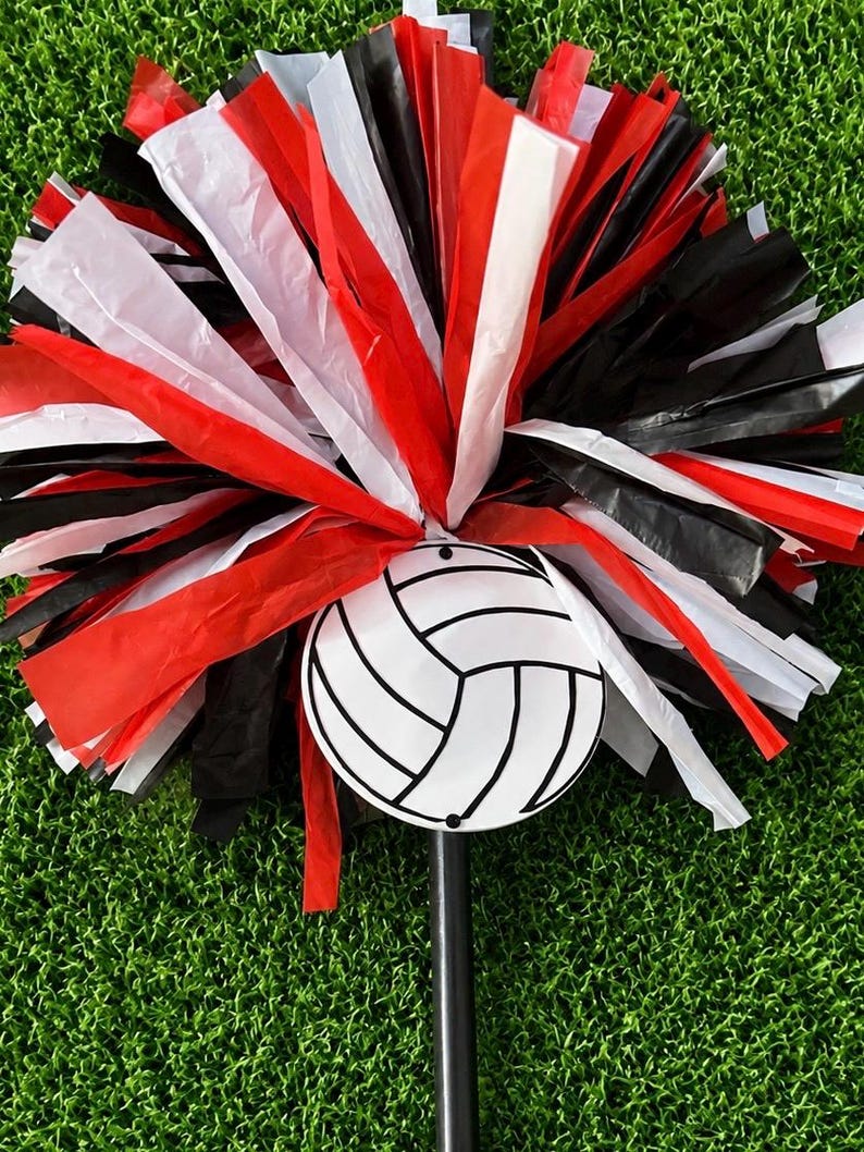 Glee Moment Facebook ad: Custom Pom Spirit Stick!