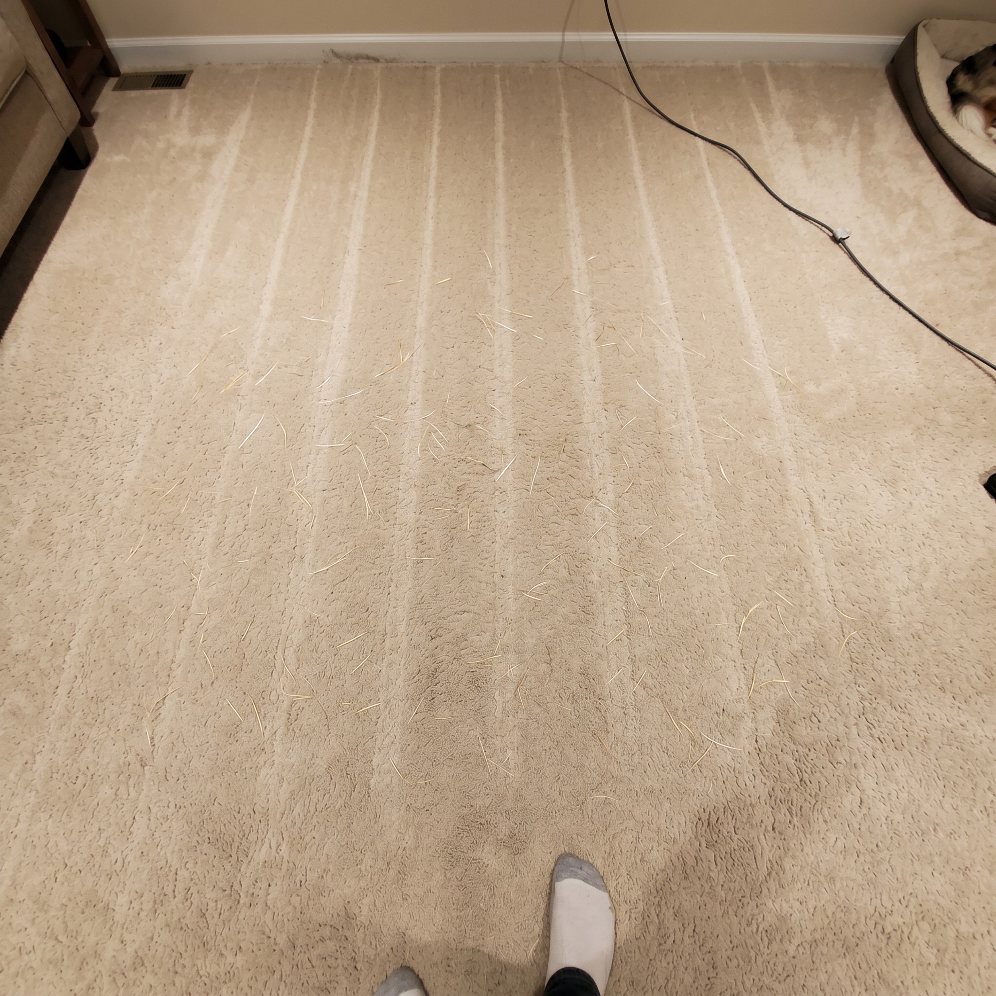 Rafitheminiaussie Facebook ad: The Secret Vacuum Companies Hide From You