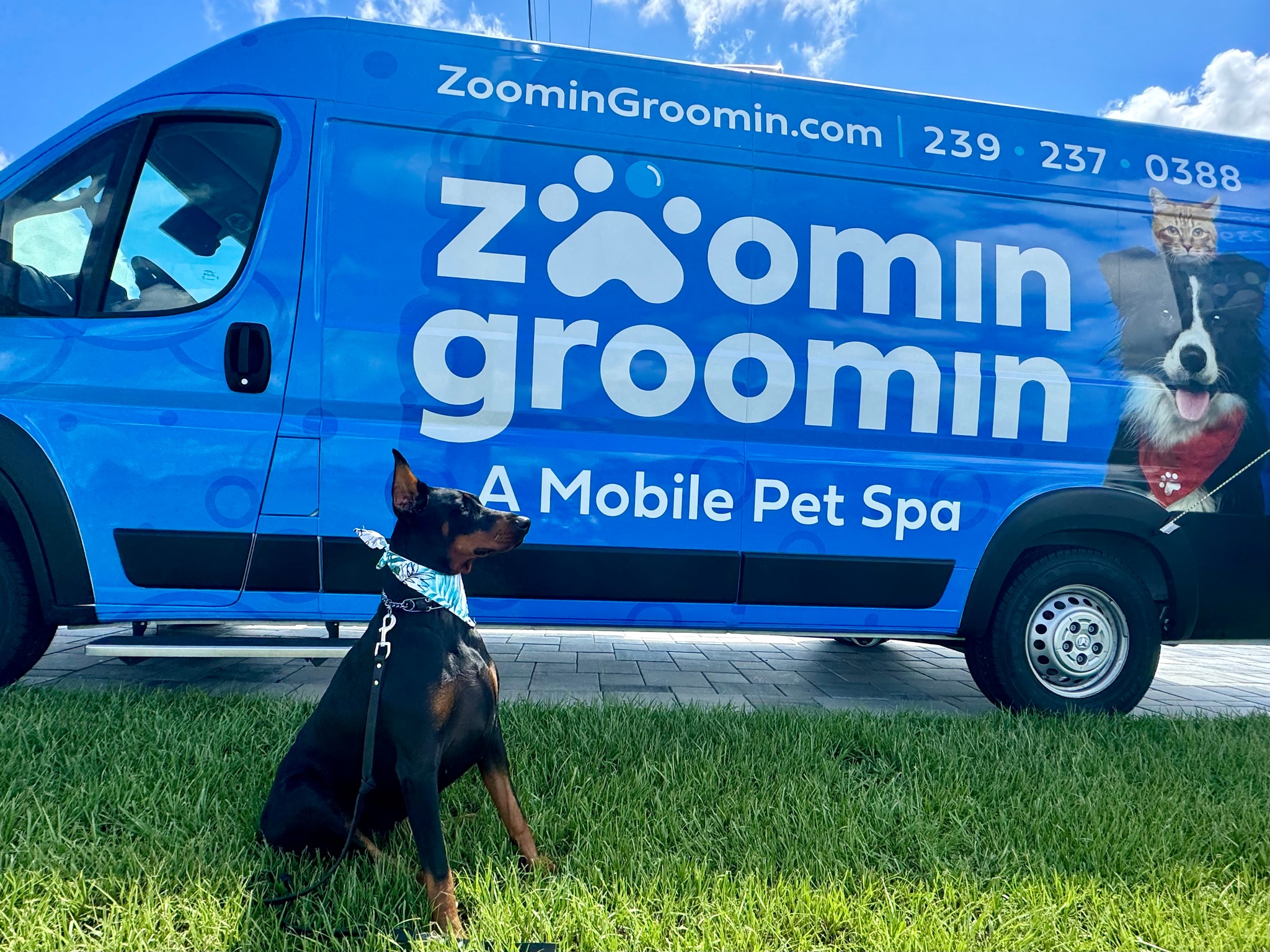 Zoomin Groomin - Cape Coral, North Fort Myers, FL Facebook ad