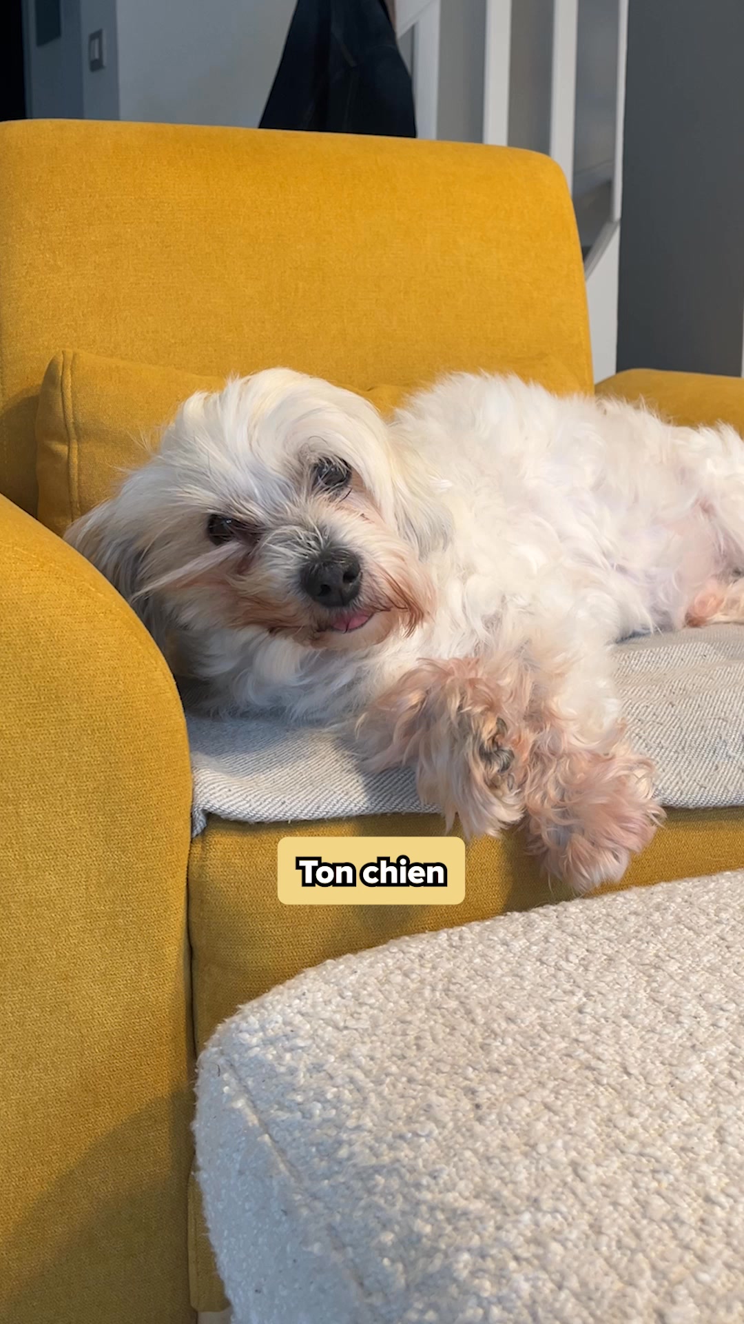 Franklin Pet Food Facebook ad: Boostez la mobilité de votre chien