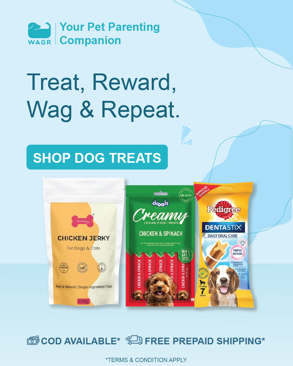 Wagr Facebook ad
