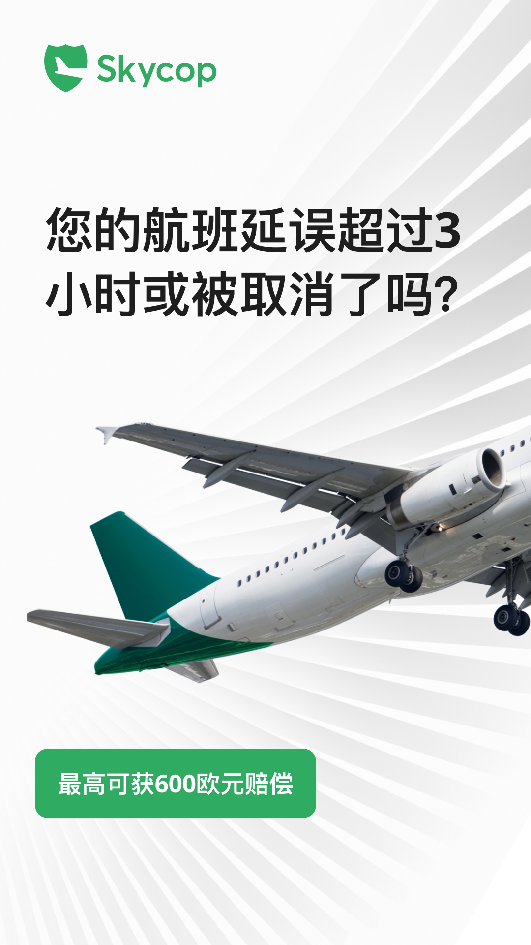 Skycop Facebook ad