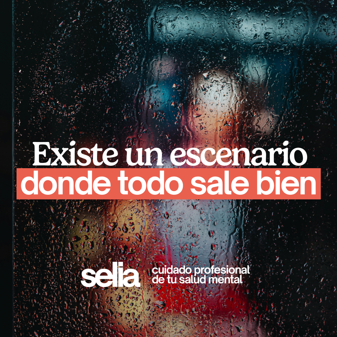 Selia Facebook ad