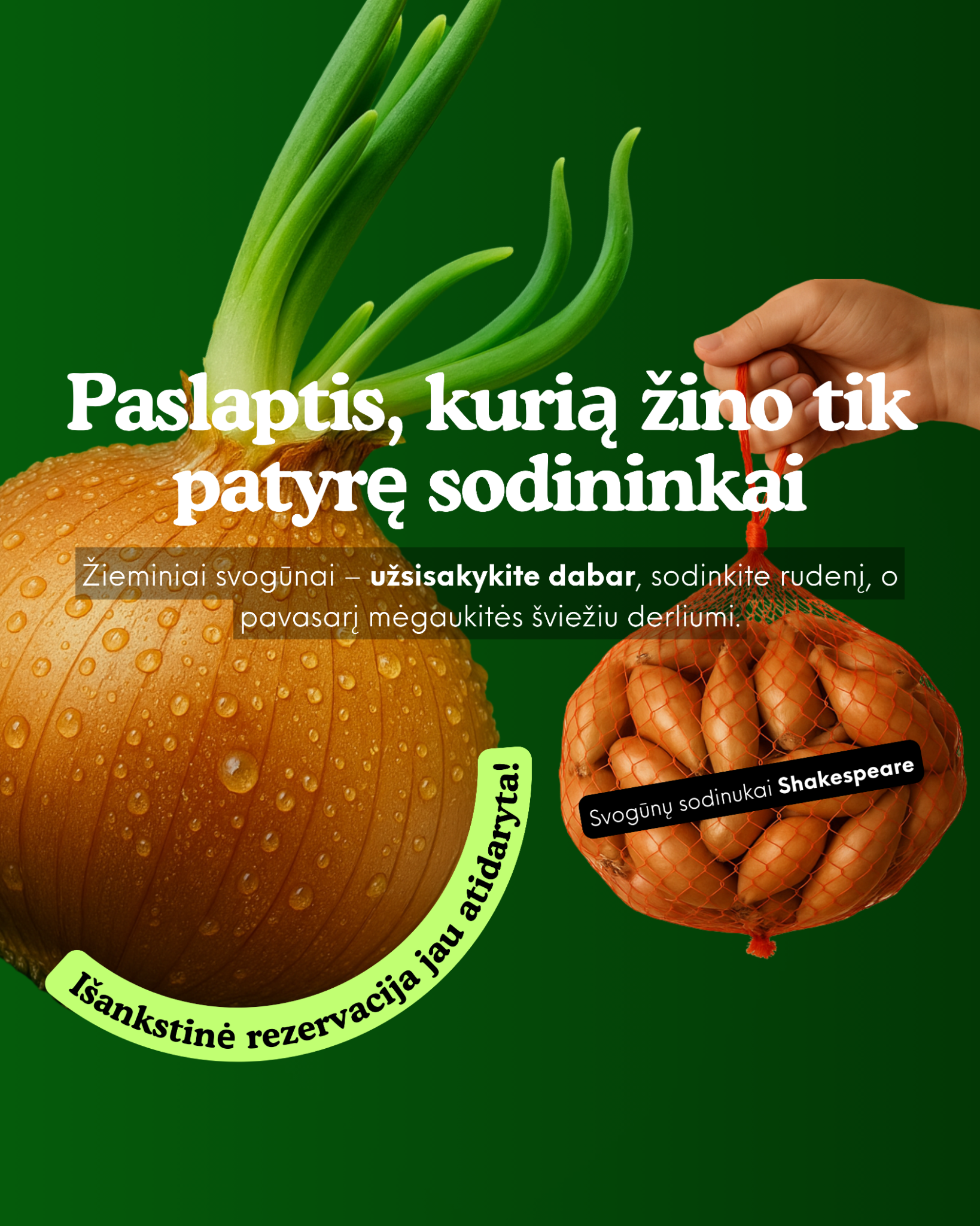 Nojaus sėklos Facebook ad