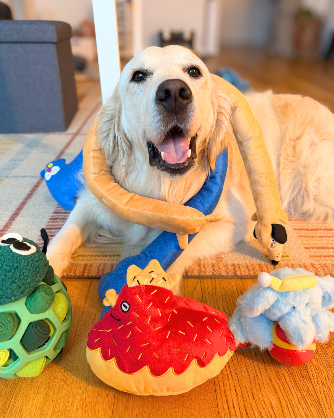 MovingMoving Facebook ad: Your dog doesn’t need another boring toy.