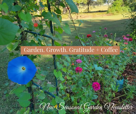 Elizabeth - Barefoot & Bloom Gardens Facebook ad: Get Garden Inspiration