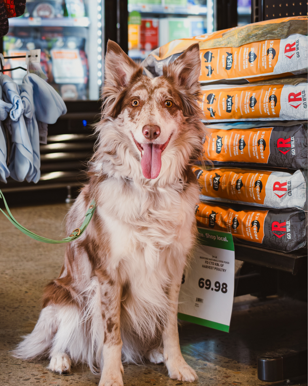 Pet Supplies Plus Facebook ad