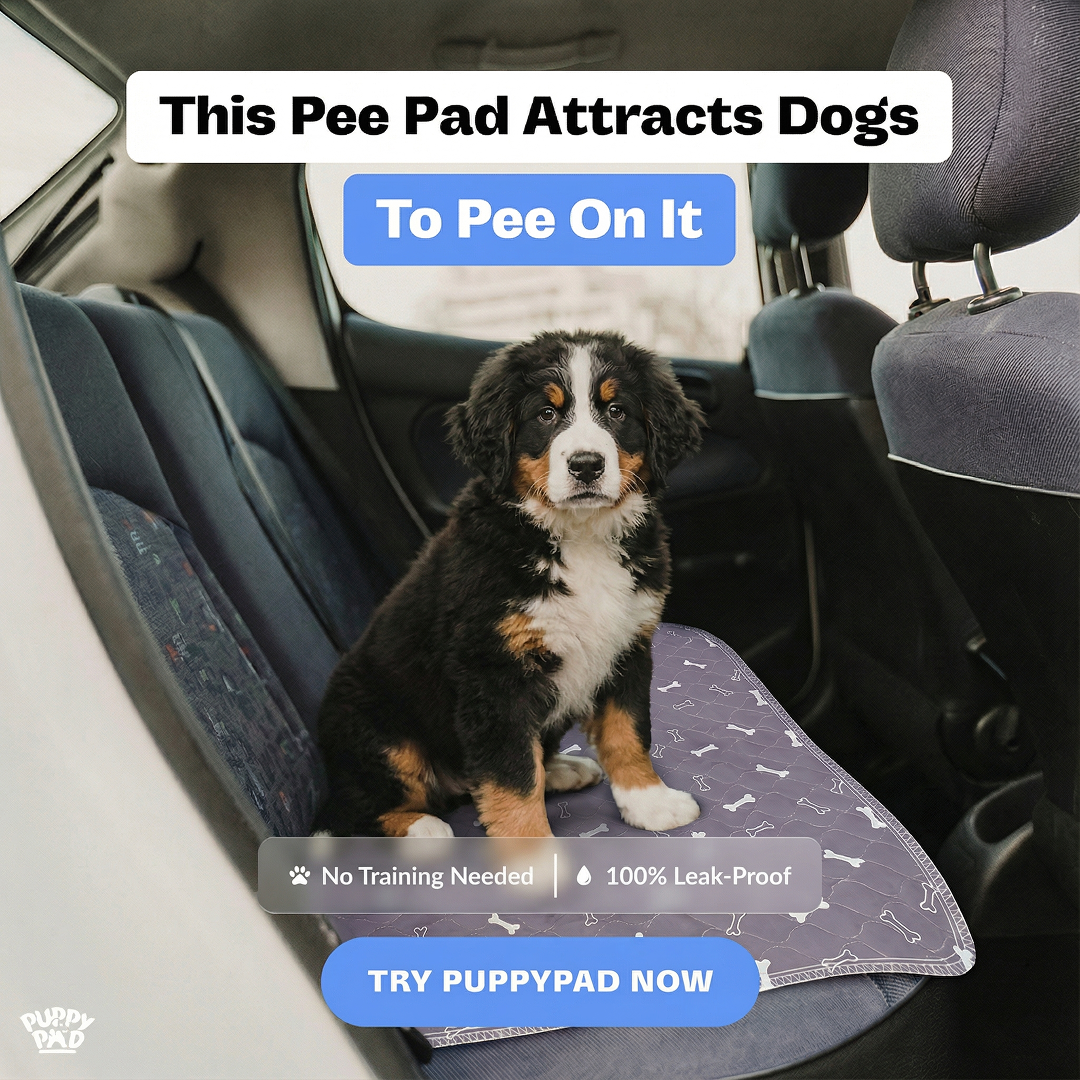PuppyPad Facebook ad