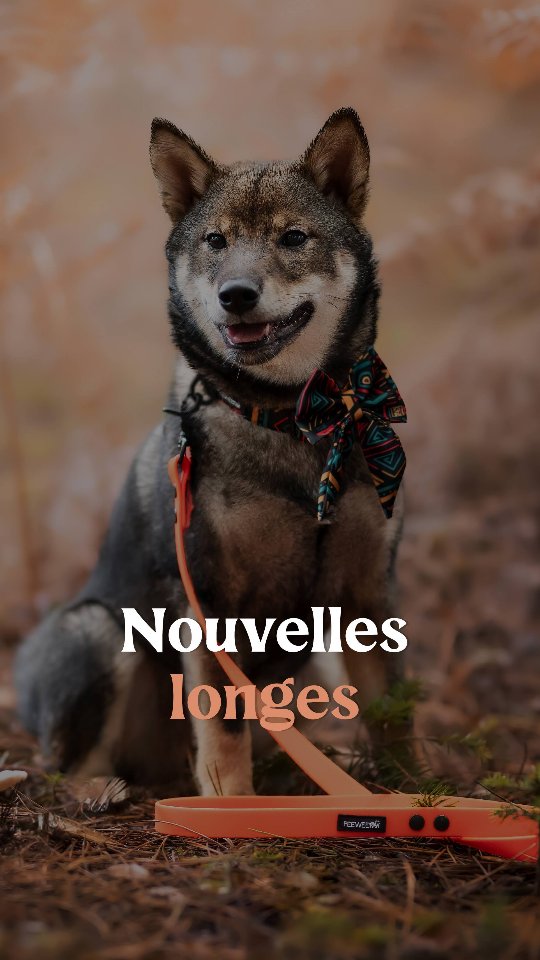 PeeweePaw Facebook ad: Chez PeeweePaw, vous trouverez forcément votre bonheur!
