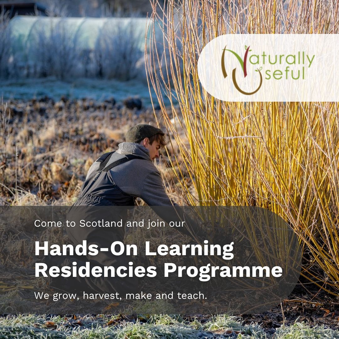 Naturally Useful Facebook ad: A highland adventure: Learn, grow, contribute and make the…