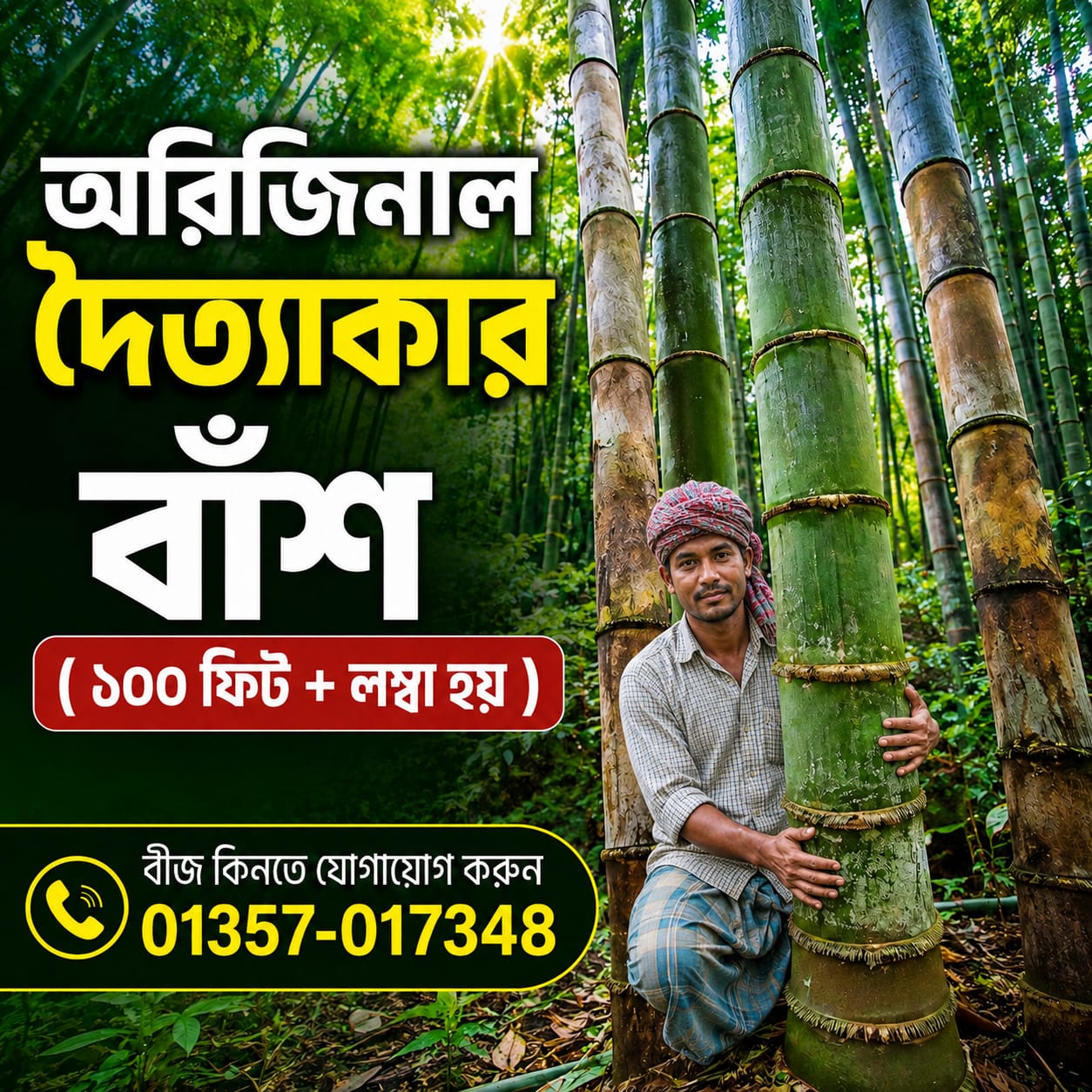 𝐒𝐞𝐞𝐝𝐆𝐨 Facebook ad