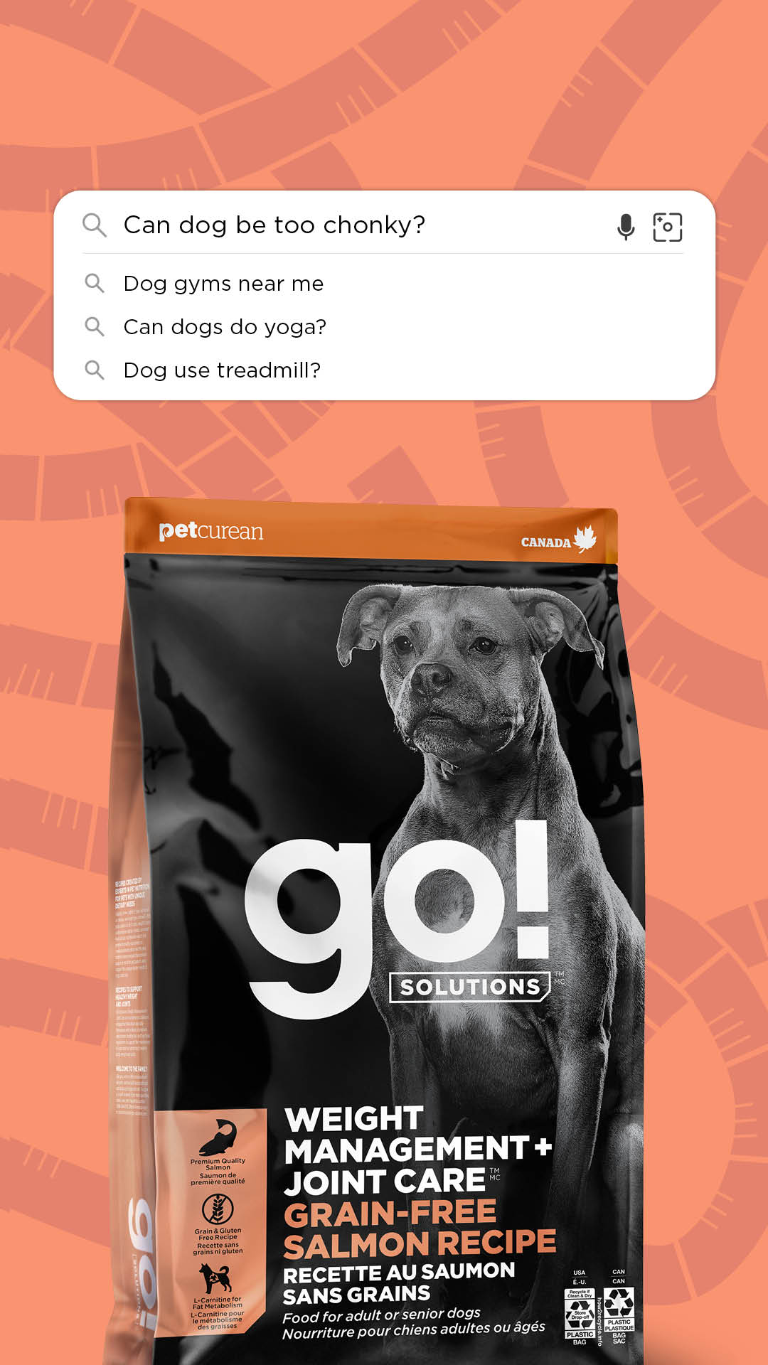 Go Solutions Pet Food Facebook ad from Jan 29, 2026