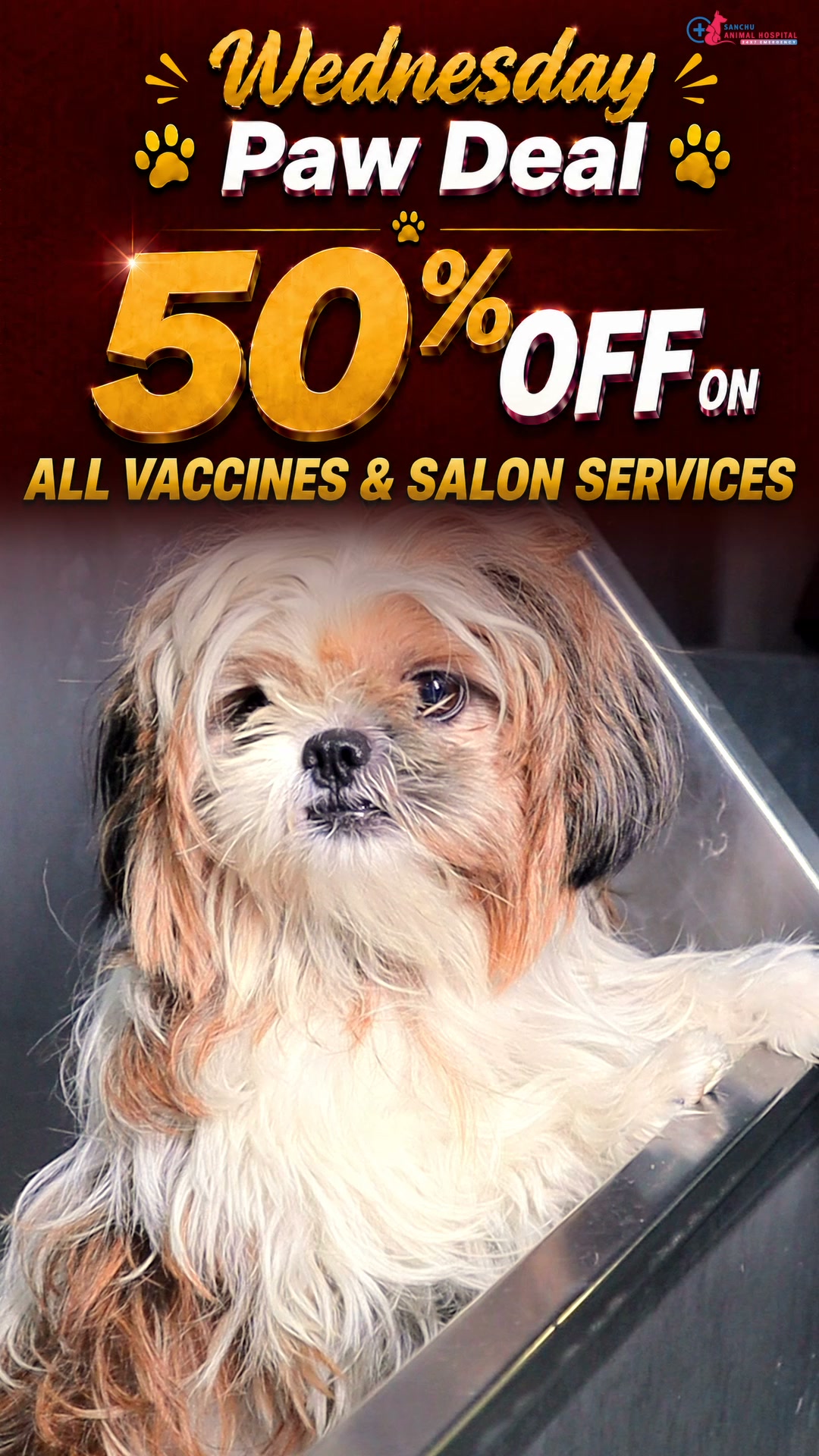 Sanchu Animal Hospital Facebook ad: 50% OFF Every Wednesday